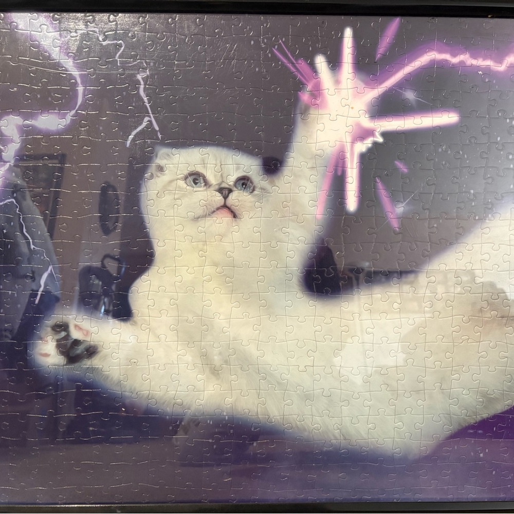 Taylor Swift Olivia Cat Puzzle: Completed and Framed